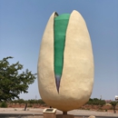 McGinn's Pistachio Tree Ranch - Nuts-Edible-Wholesale & Processing