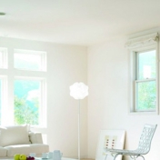 Gallery Image Number 6