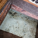 Green Genie - Fire & Water Damage Restoration