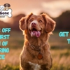 Poo-Be-Gone gallery