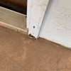 Eagle Pest Solutions gallery