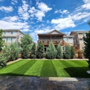 Rock N Block - Turf N Hardscapes - Castle Rock - Sod & Sodding Service