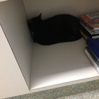 Dutch Fork Animal Hospital