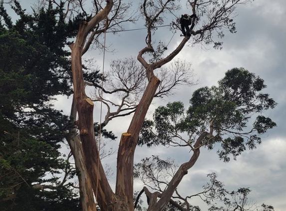 E&T Tree Services And Stump Grinding - Penguin, TAS