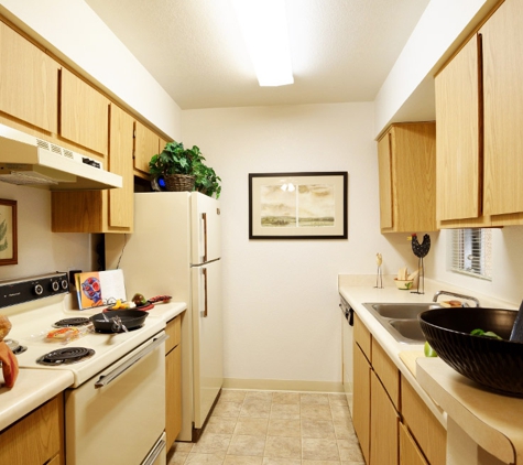 Saddle Ridge Apartments - Tucson, AZ