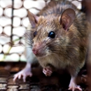 Hart's Pest Control - Pest Control Equipment & Supplies