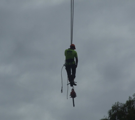 Steve's Tree Cutting - Wurtulla, QLD