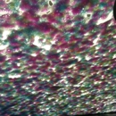 Broadway Car Wash - Car Wash