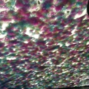 Broadway Car Wash - Car Wash