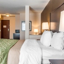 Comfort Inn & Suites - Motels