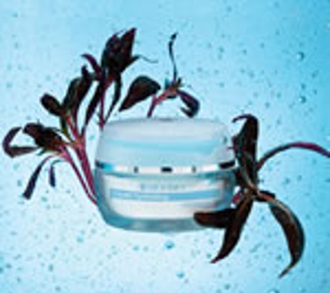 Bliss Beauty & Body - New Lambton, NSW