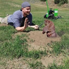 Preventive Pest Control