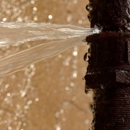 Inland Dry Pro - Plumbers