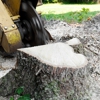 North Great Lakes Tree Service gallery