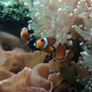 Aquarium Tarpon Springs - Sightseeing Tours
