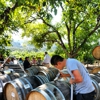Tedeschi Family Winery gallery