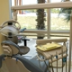 Orlando Oral Implant Center