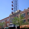 Brown Line Vineyard gallery