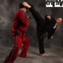 Gary Williams Martial Arts