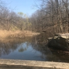 Flat Rock Brook Nature Center gallery