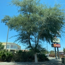 Walgreens - Pharmacies