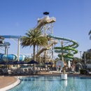 Gaylord Palms Resort & Convention Center - Conference Centers