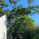 James River Tree Service - Tree Service