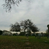 Los Angeles Odd Fellows Cemetery gallery