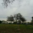 Odd Fellows Cemetery Associations