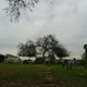Los Angeles Odd Fellows Cemetery