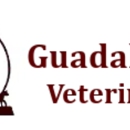 Guadalupe Valley Veterinary Clinic - Bryan Glass DVM - Veterinarians