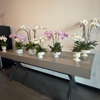 Bloom. gallery