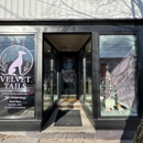 Velvet Tails - Luxury Pet Services - Pet Grooming