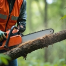 Joe Tree Service Inc - Tree Service