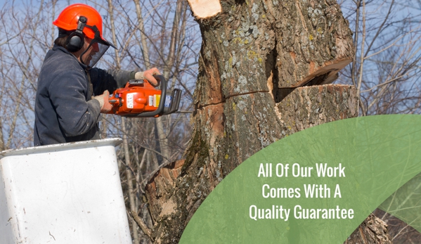 BDS Tree Care. All Of Our Work Comes With A Quality Guarantee