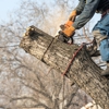 Tesla Tree Service gallery