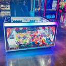 Mr Gatti's Pizza - Amusement Places & Arcades