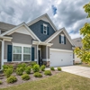 Amy McCune and Associates - ROG - Simplified gallery