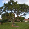 Community Tree & Landscape Service, Inc gallery