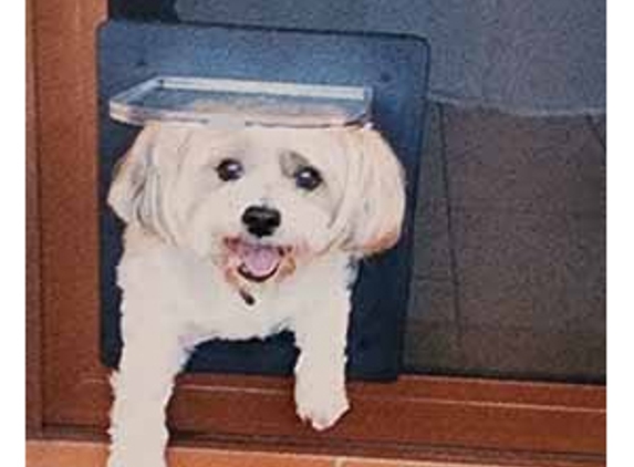 Protector Security Doors & Insect Screens - Erina, NSW