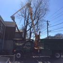 Turner Tree Service - Tree Service