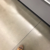 Walgreens gallery