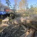 Robinson Tree Service - Arborists