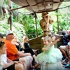 Jungle Cruise gallery