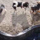 The Dog House - Pet Boarding & Kennels
