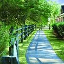 Spring Arbor Wilson
