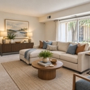 Gwynn Oaks Landing Apartments & Townhomes - Apartments