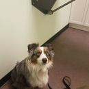 Mercer Street Veterinary Hospital - Veterinary Clinics & Hospitals