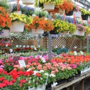 Van Putte Gardens - Garden Centers