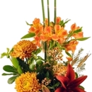 City Florist - Flowers, Plants & Trees-Silk, Dried, Etc.-Retail